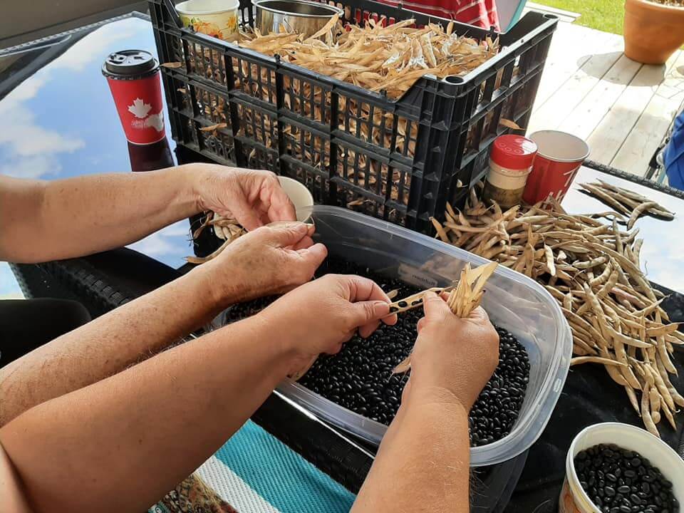 Gi'Zhawenimin Gathering