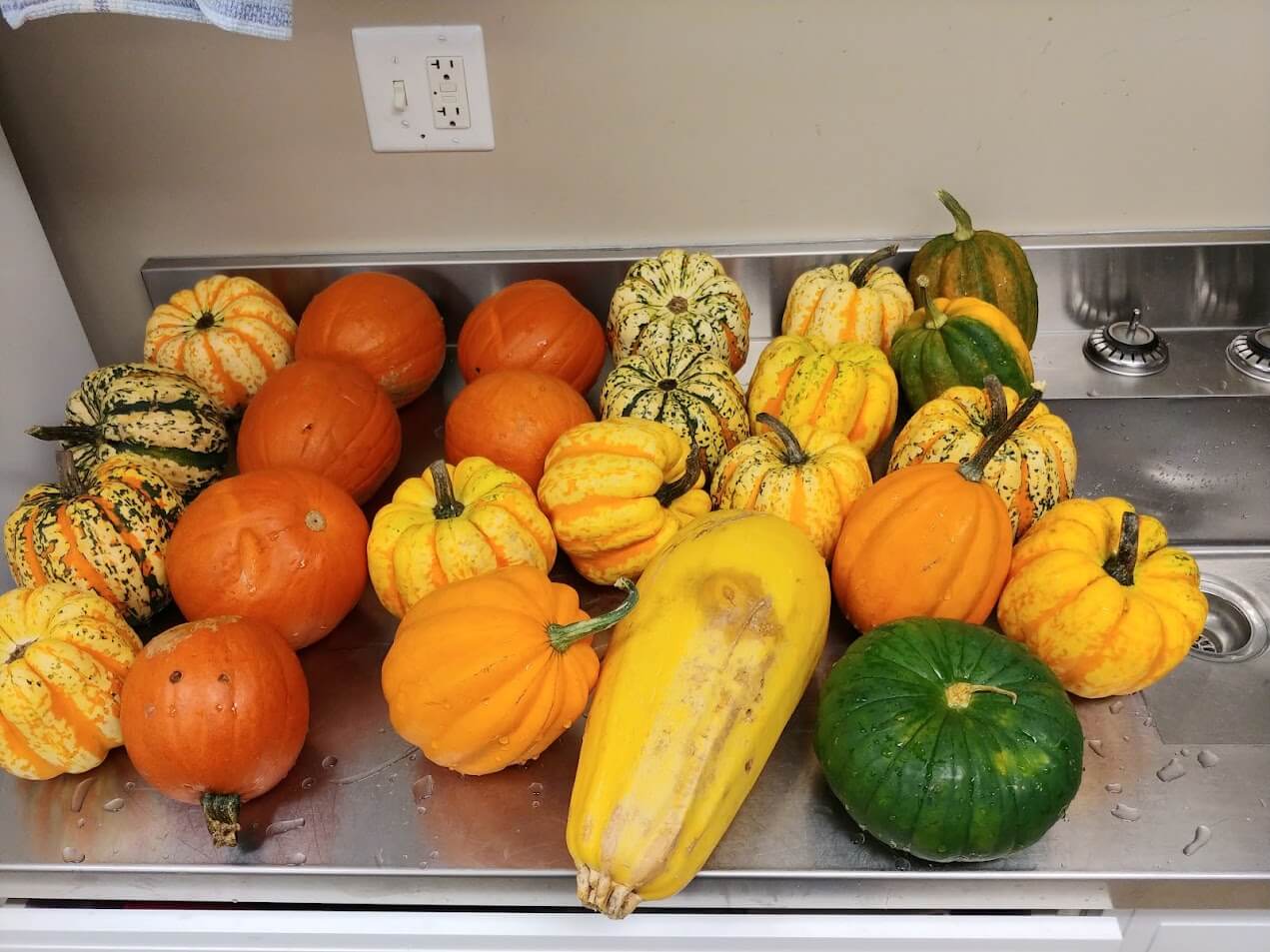 Gi'Zhawenimin Gathering